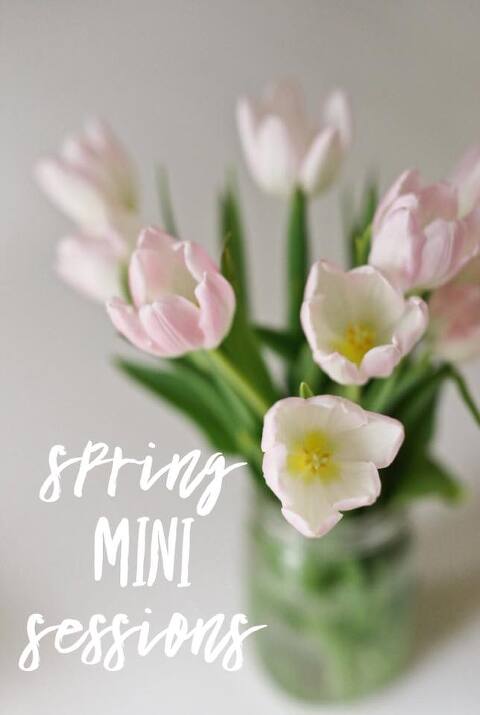 spring mini tulips